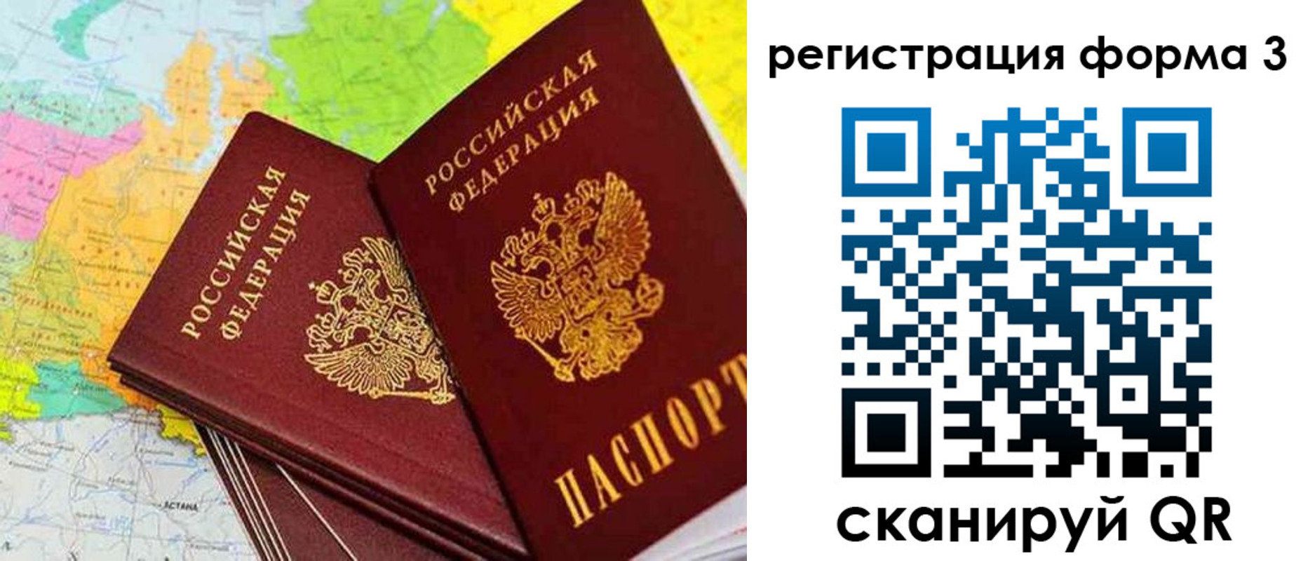 прописка 2025 в Светлогорске