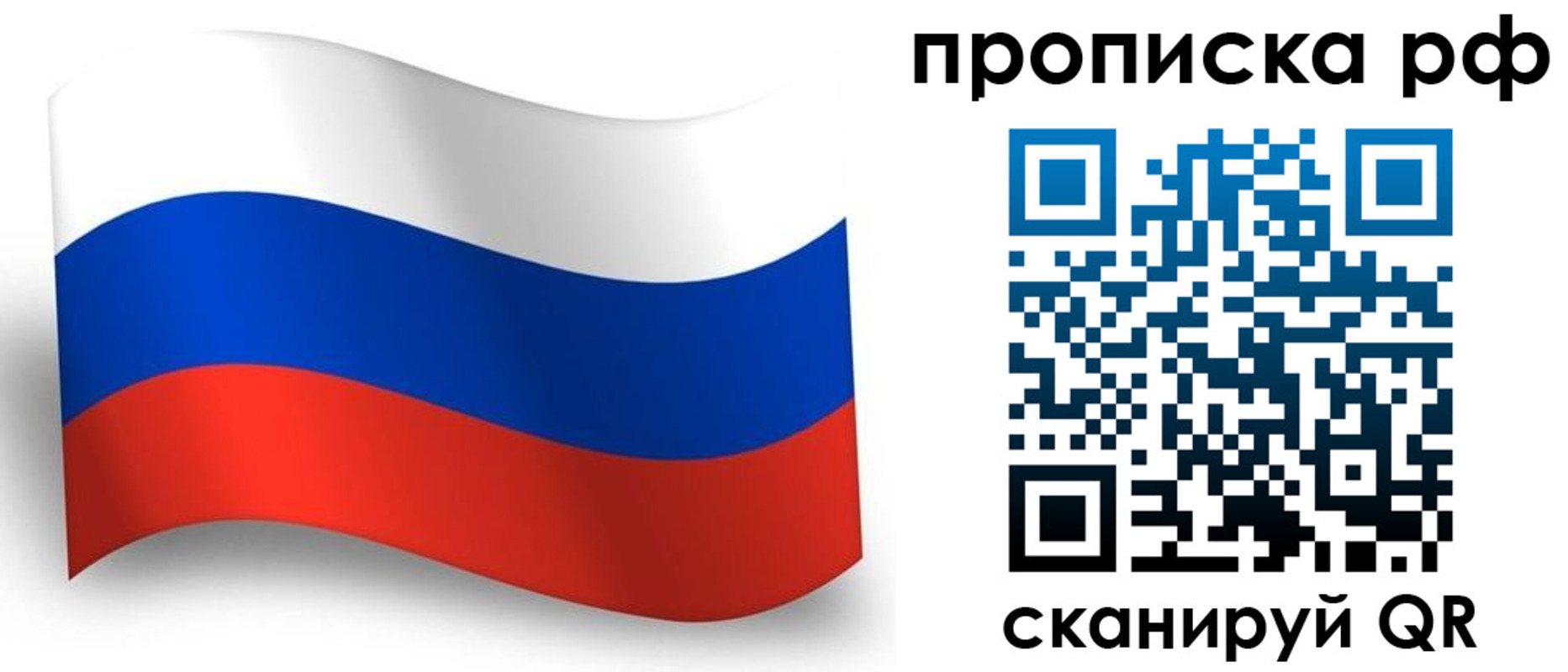 прописка в Светлогорске