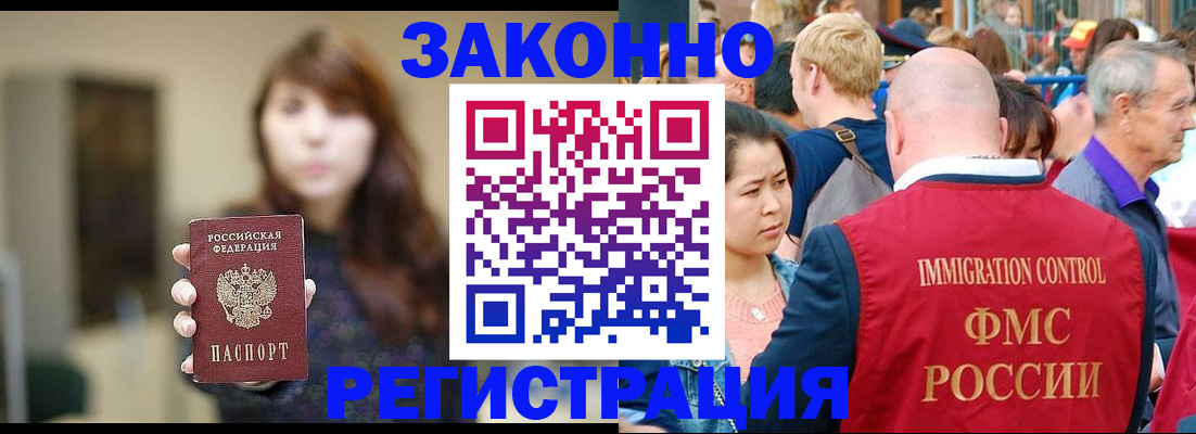 прописка поиск в Светлогорске